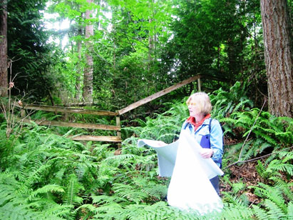 Landscape Design + Consulting