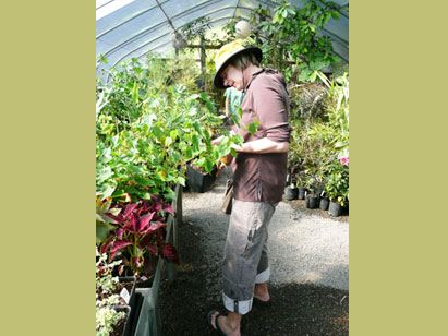 Landscape Design + Consulting