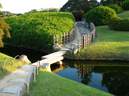 Landscape Design + Consulting