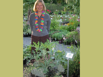 Landscape Design + Consulting